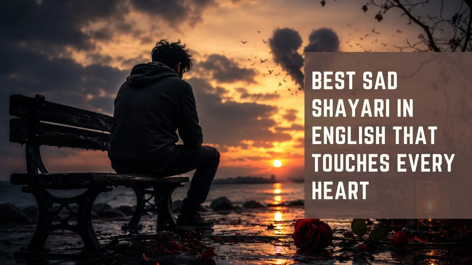 Best Sad Shayari in English That Touches Every Heart