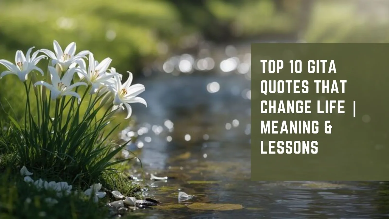 Top 10 Gita Quotes That Change Life | Meaning &amp; Lessons