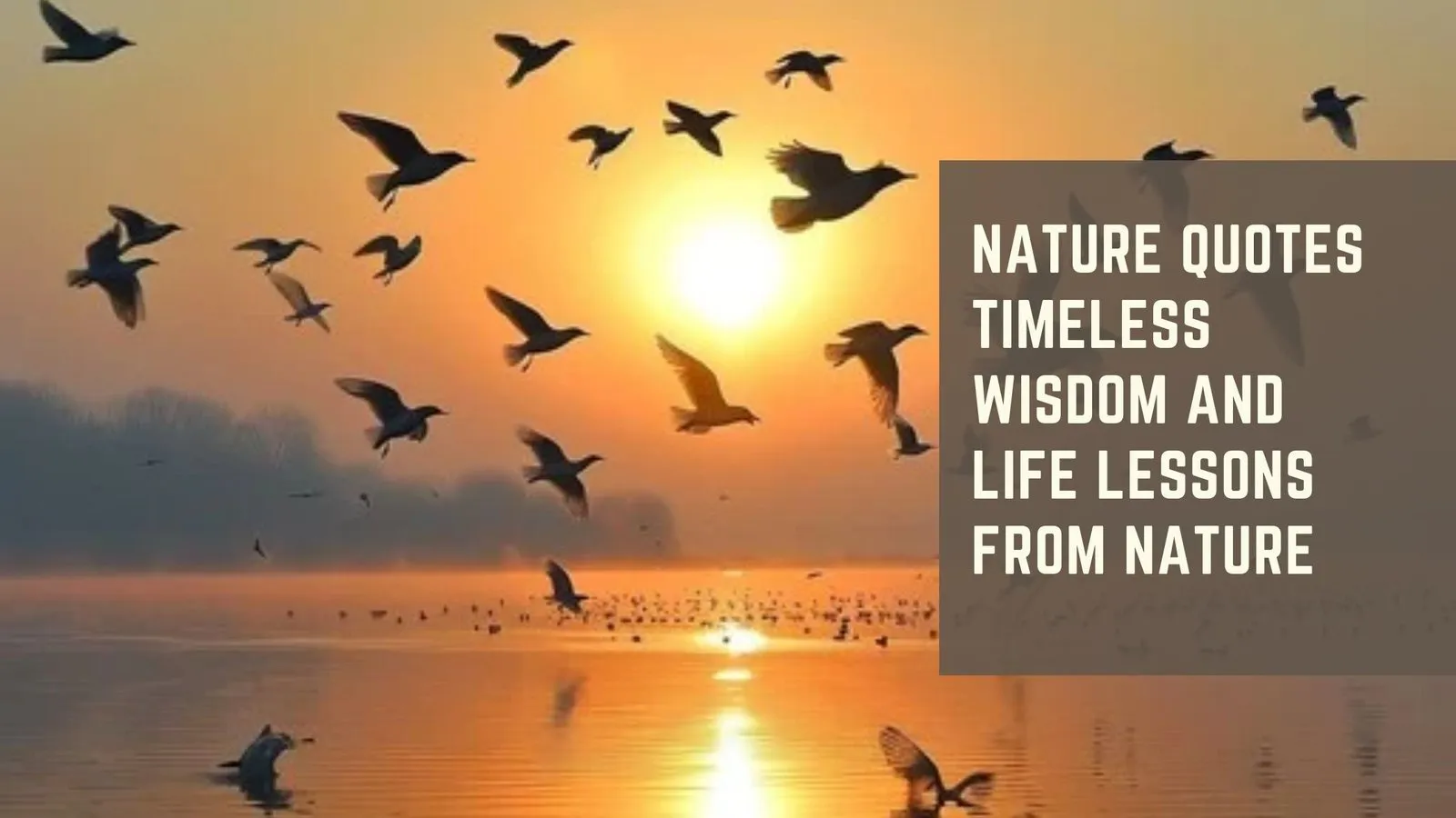 Nature Quotes Timeless Wisdom and Life Lessons from Nature