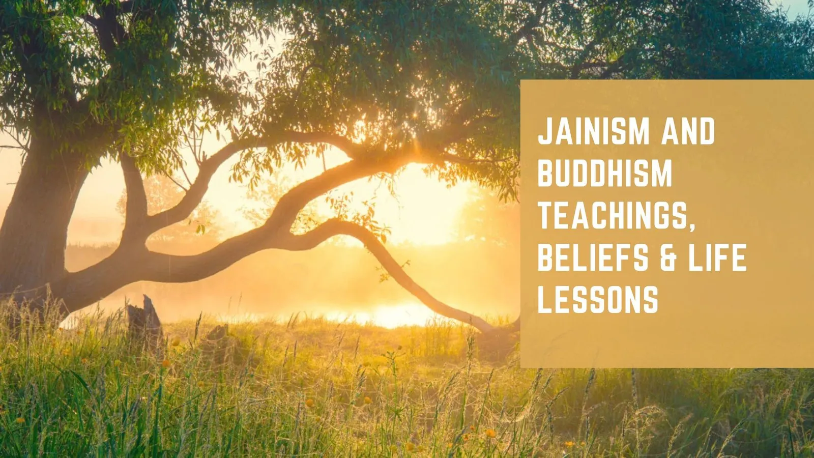 Jainism and Buddhism Teachings, Beliefs &amp; Life Lessons
