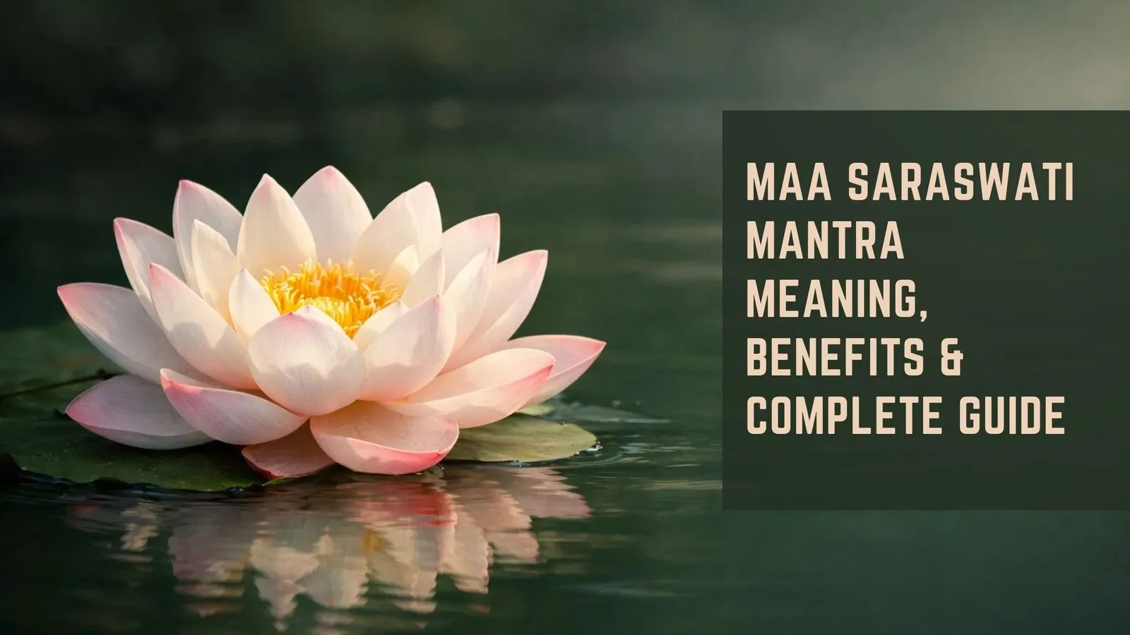 Maa Saraswati Mantra Meaning, Benefits & Complete Guide