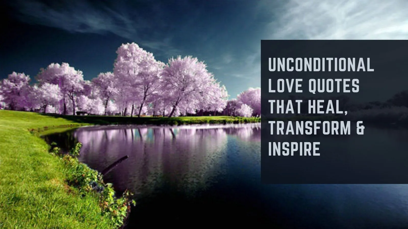 Unconditional Love Quotes That Heal, Transform &amp; Inspire