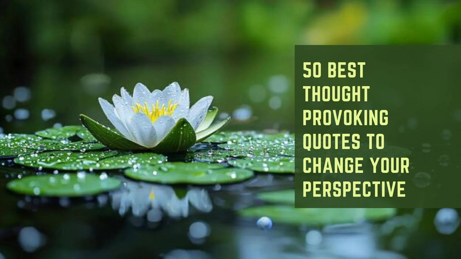 50 Best Thought Provoking Quotes to Change Your Perspective