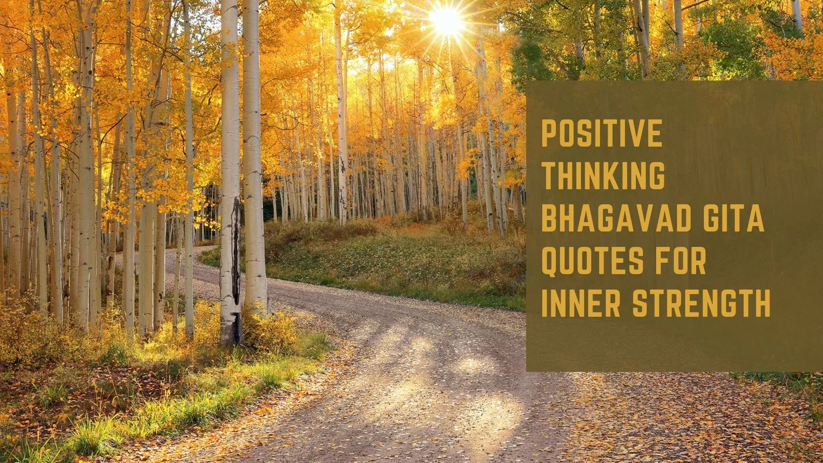 Positive Thinking Bhagavad Gita Quotes   for Inner Strength