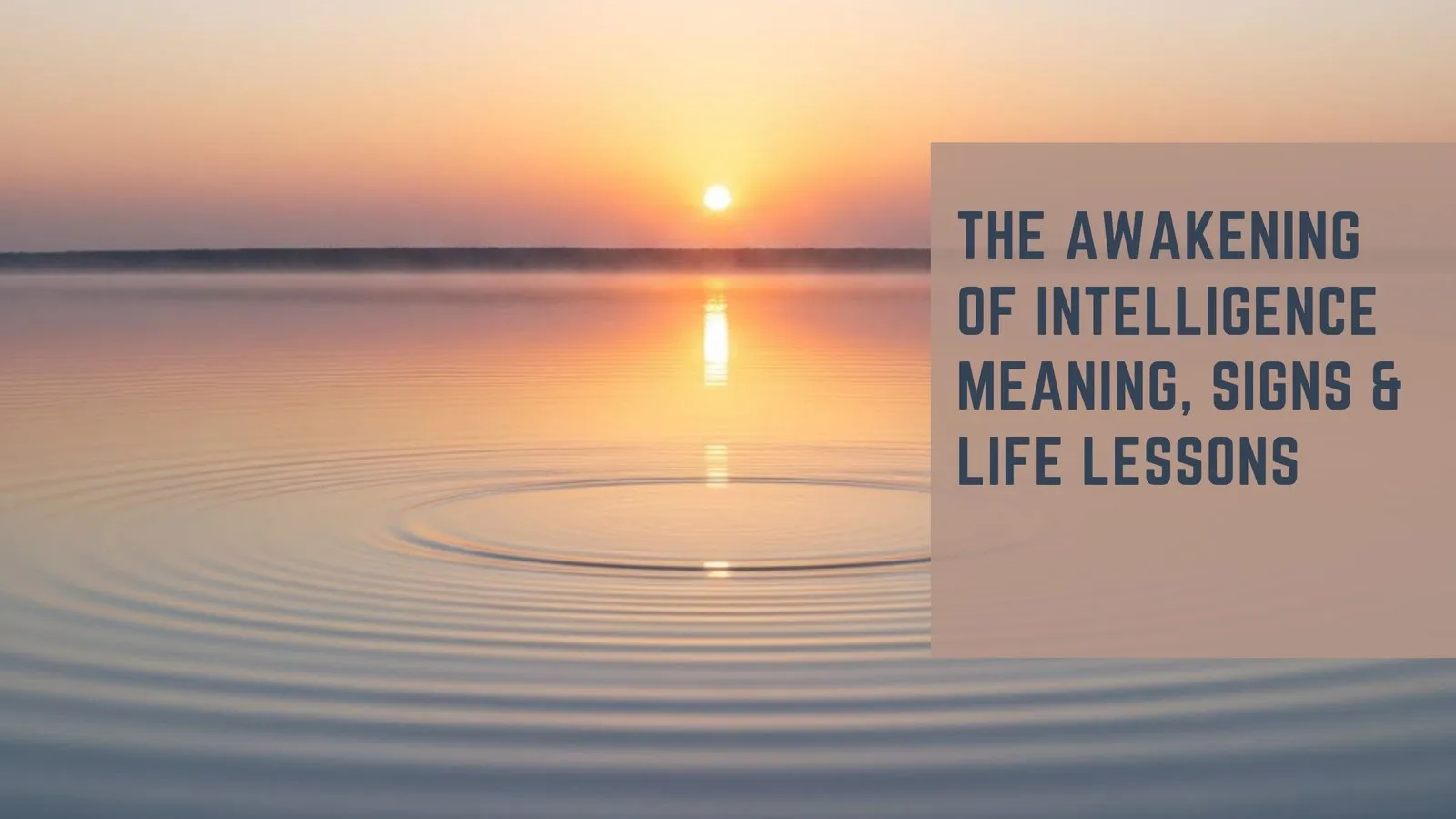 The Awakening of Intelligence   Meaning, Signs &amp; Life Lessons