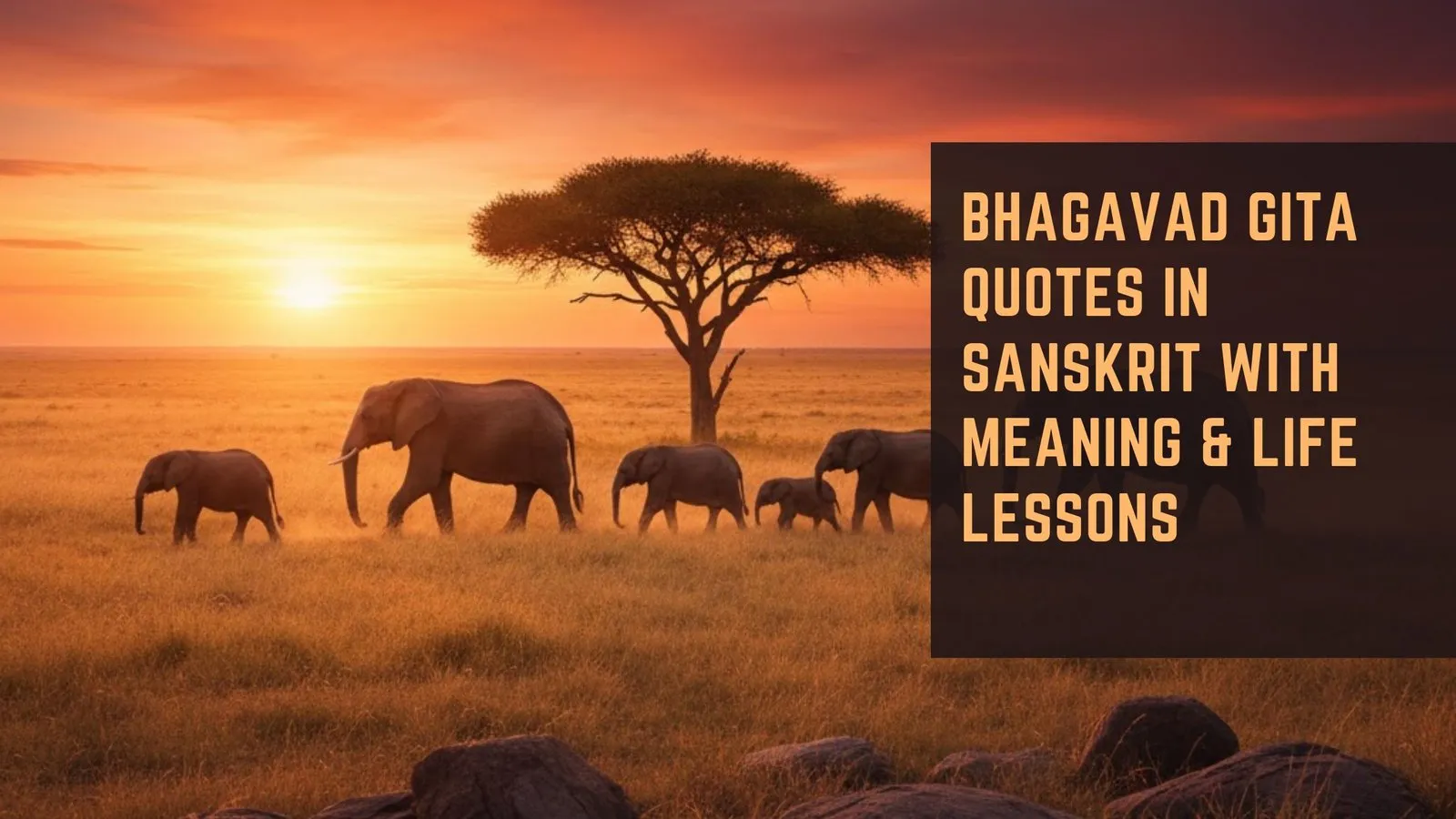 Bhagavad Gita Quotes in Sanskrit with Meaning &amp; Life Lessons