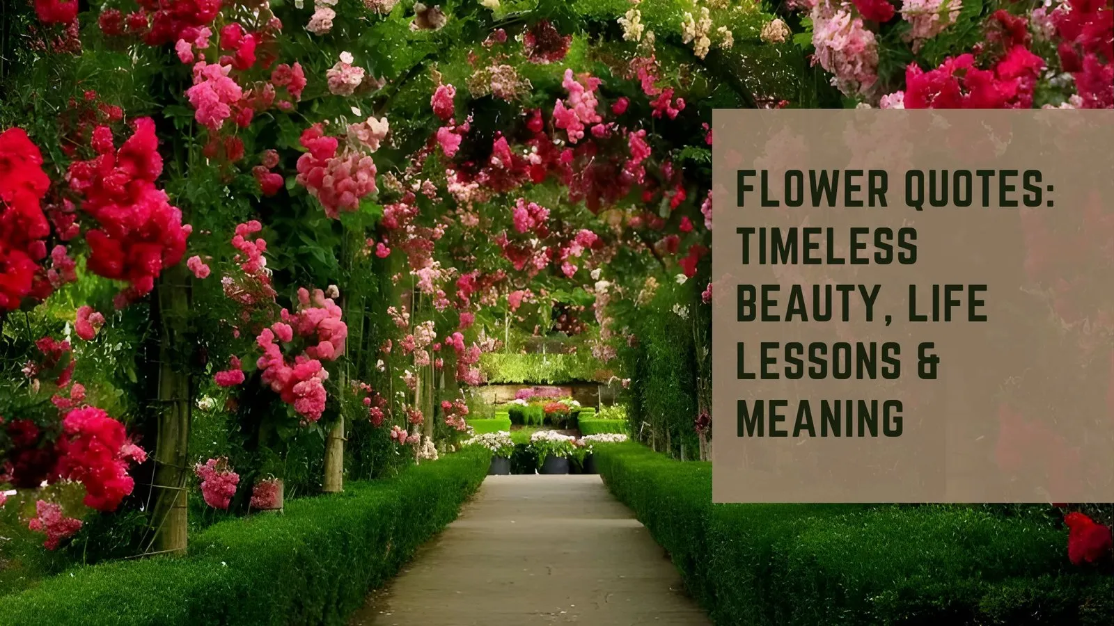 Flower Quotes: Timeless Beauty, Life Lessons &amp; Meaning