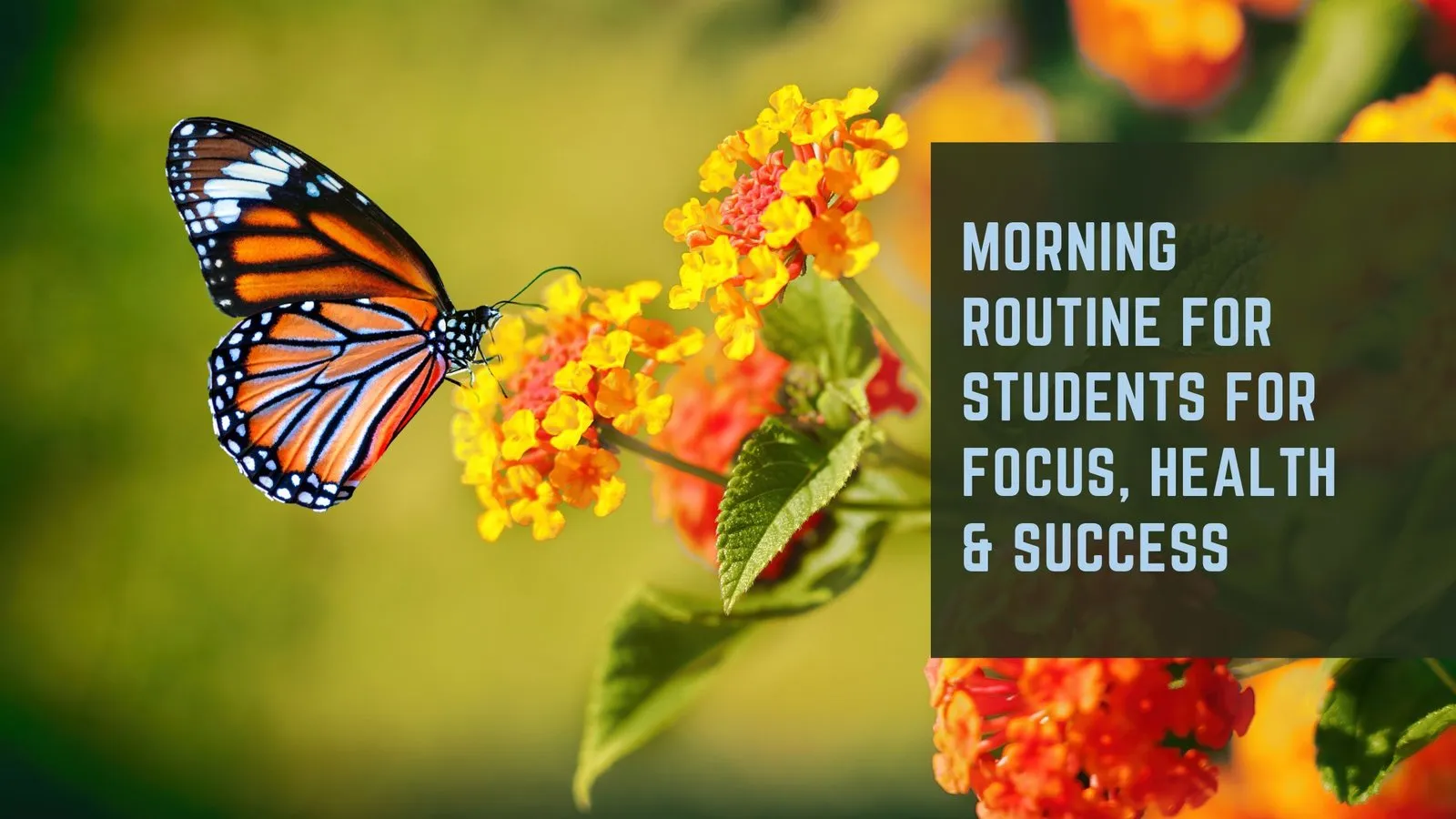 Morning Routine for Students for Focus, Health &amp; Success