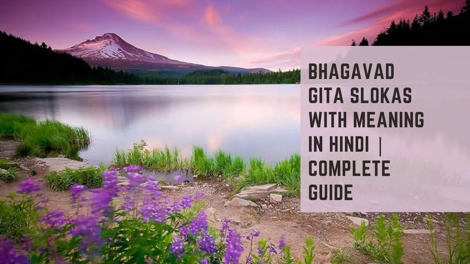 Bhagavad Gita Slokas with Meaning in Hindi | Complete Guide