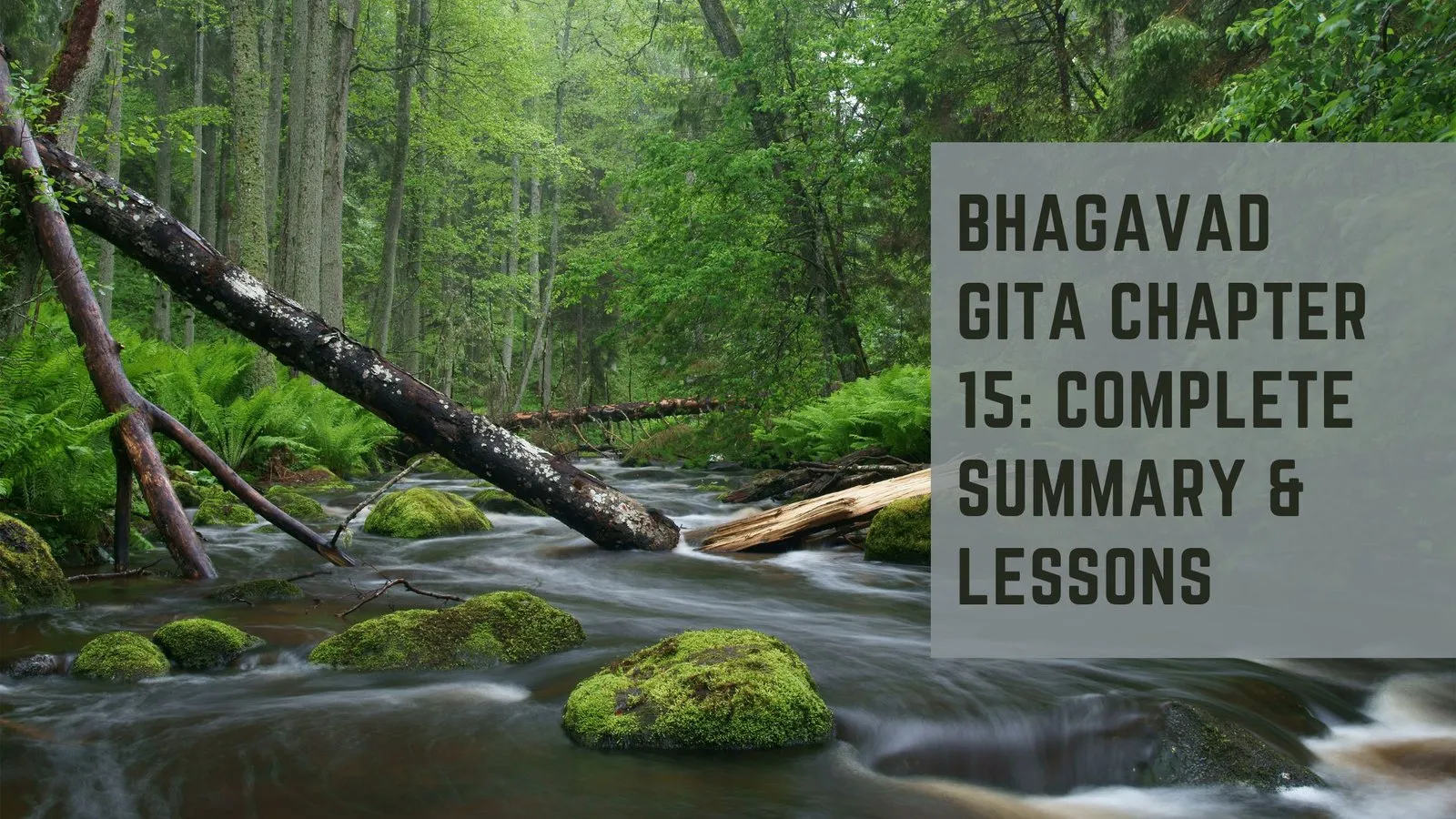 Bhagavad Gita Chapter 15: Complete Summary &amp; Lessons