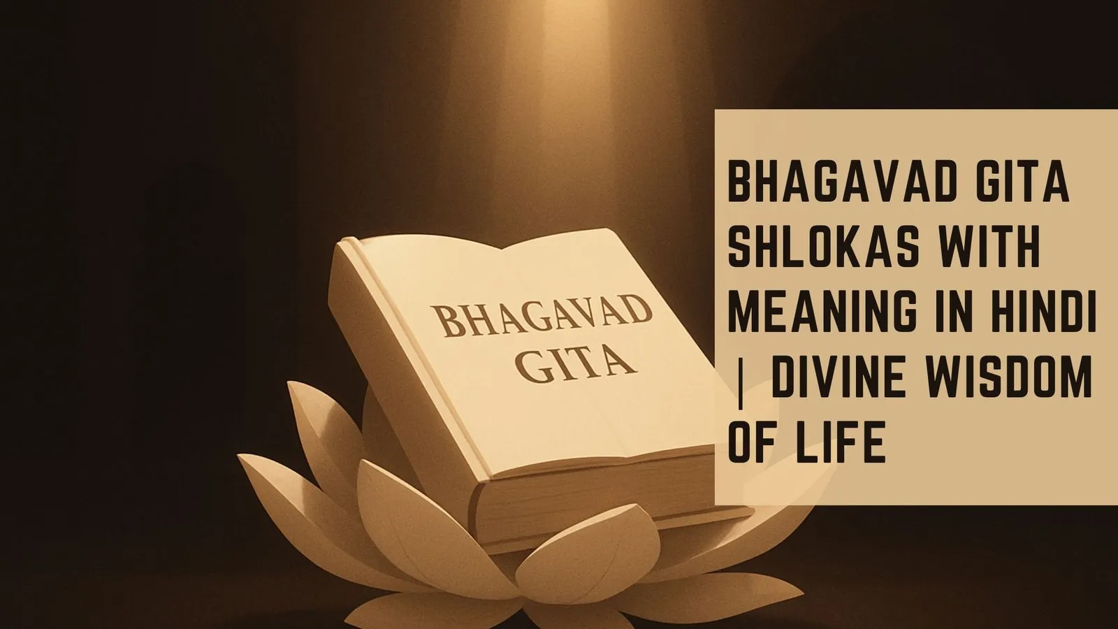 Bhagavad Gita Shlokas with Meaning in Hindi | Divine Wisdom of Life