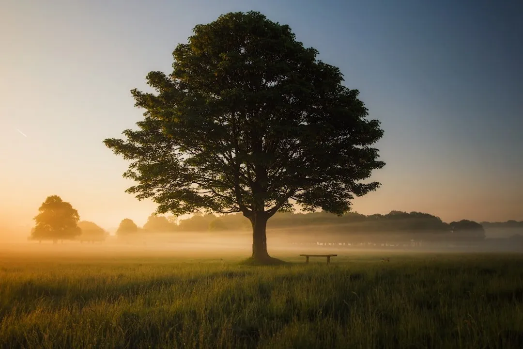 The Bhagavad Gita and Ramana Maharshi: Spiritual Wisdom