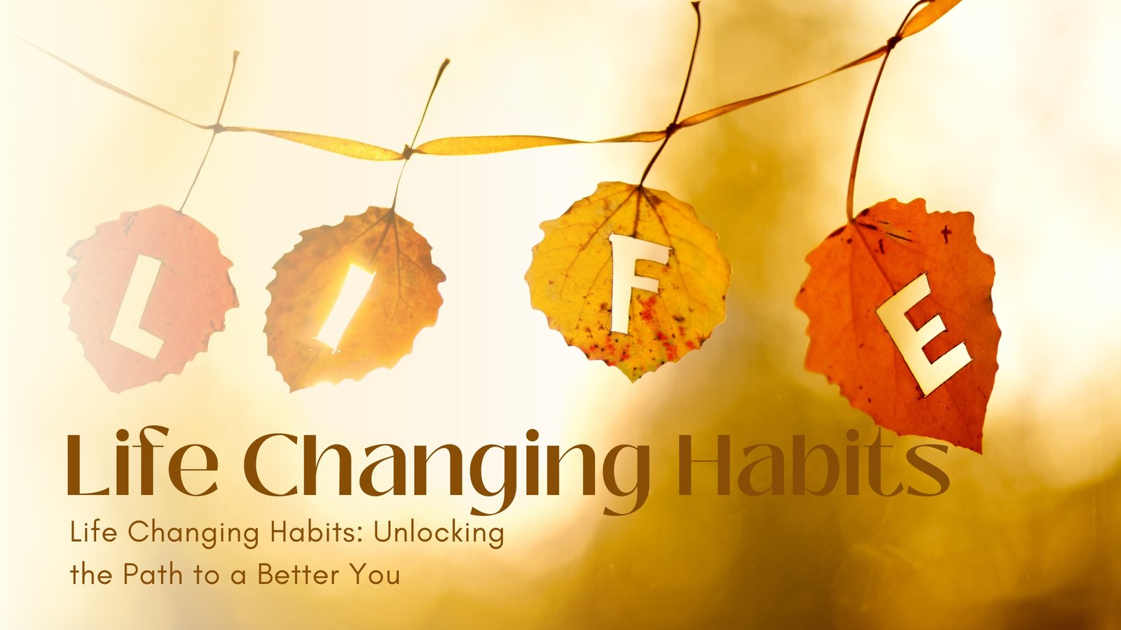 Life Changing Habits