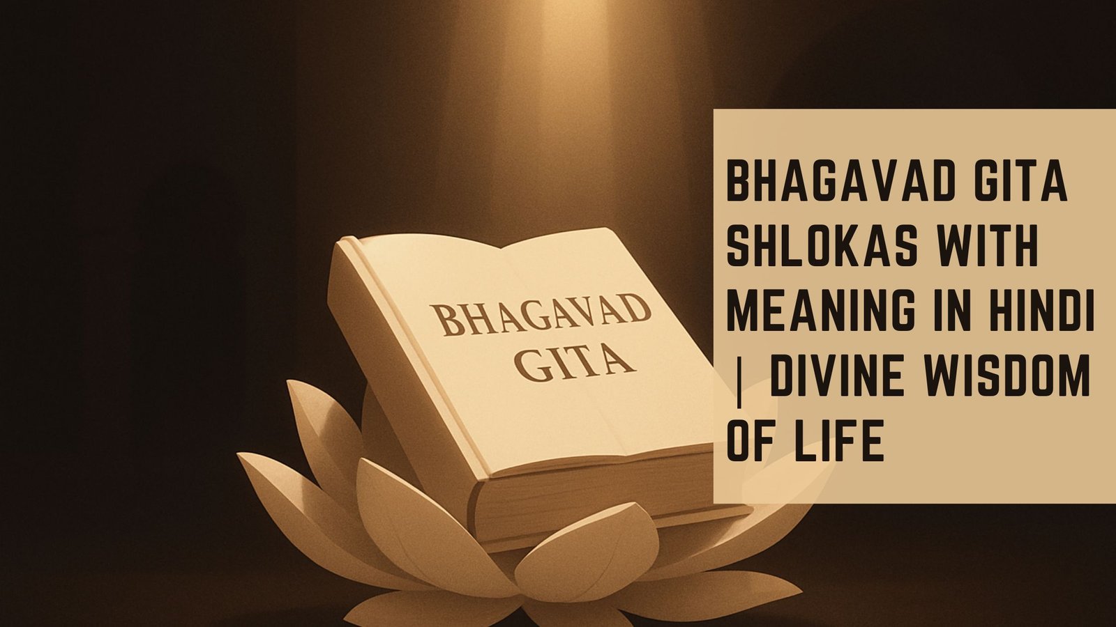 Bhagavad Gita Shlokas with Meaning in Hindi