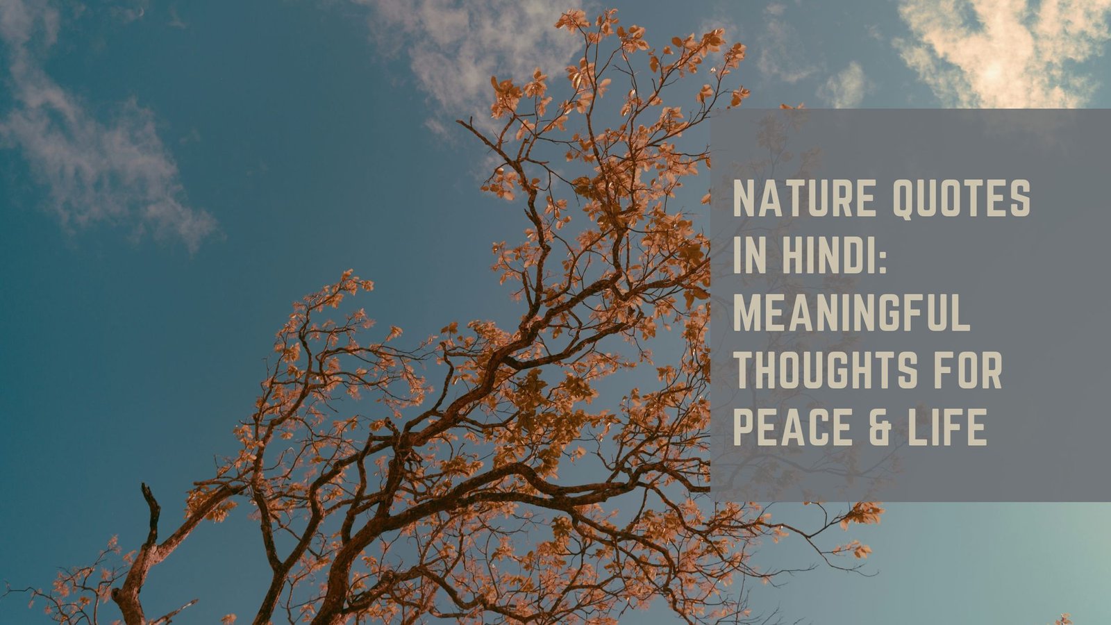 Nature Quotes in Hindi