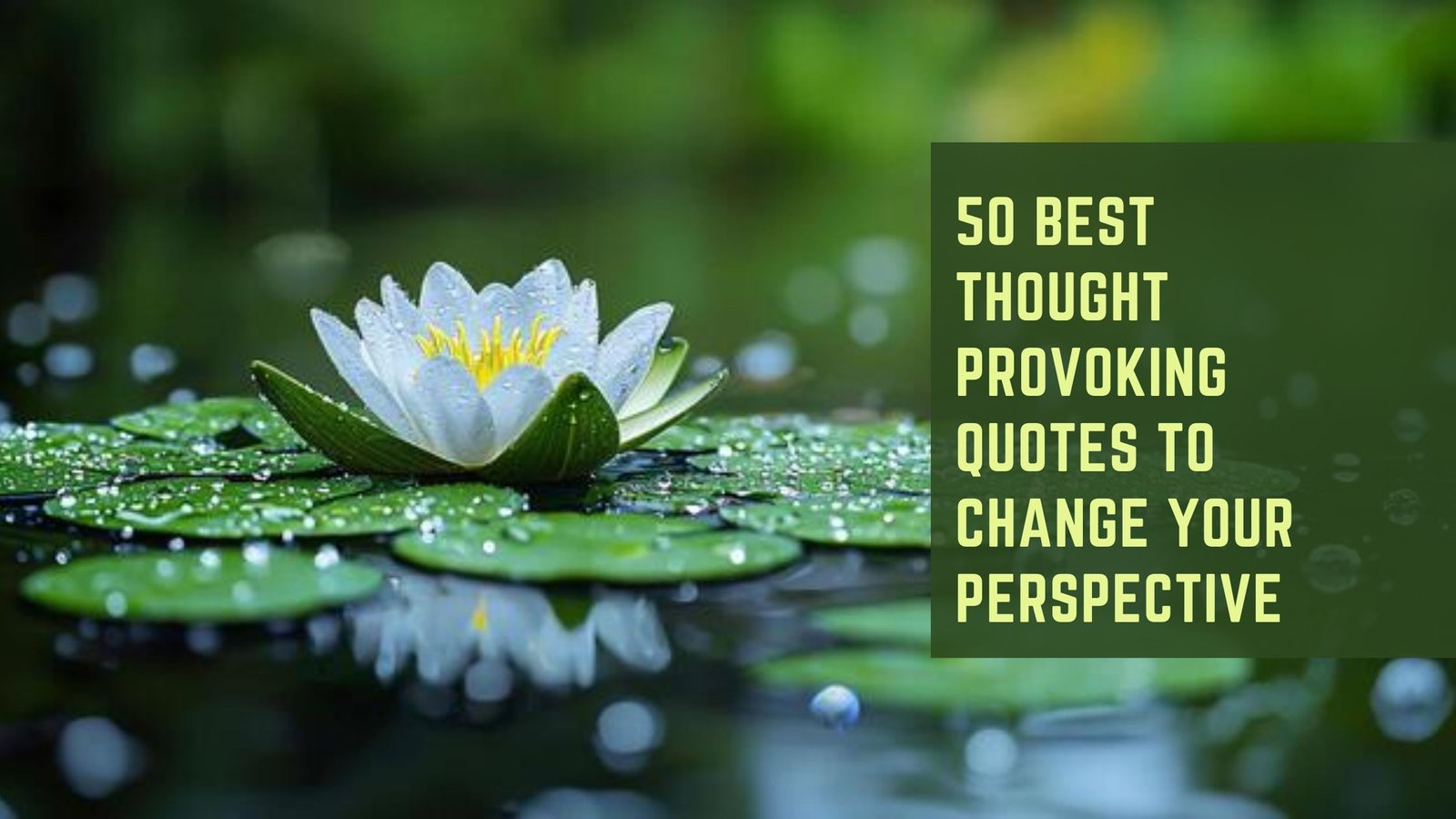 Thought Provoking Quotes