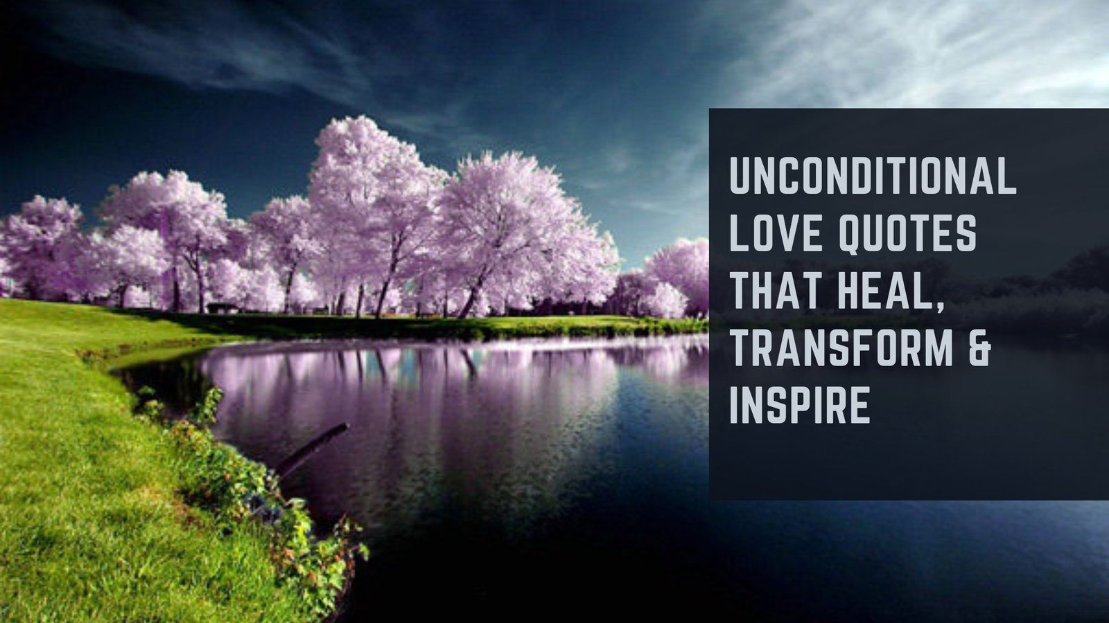 Unconditional Love Quotes