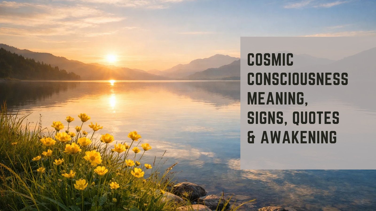 Cosmic Consciousness
