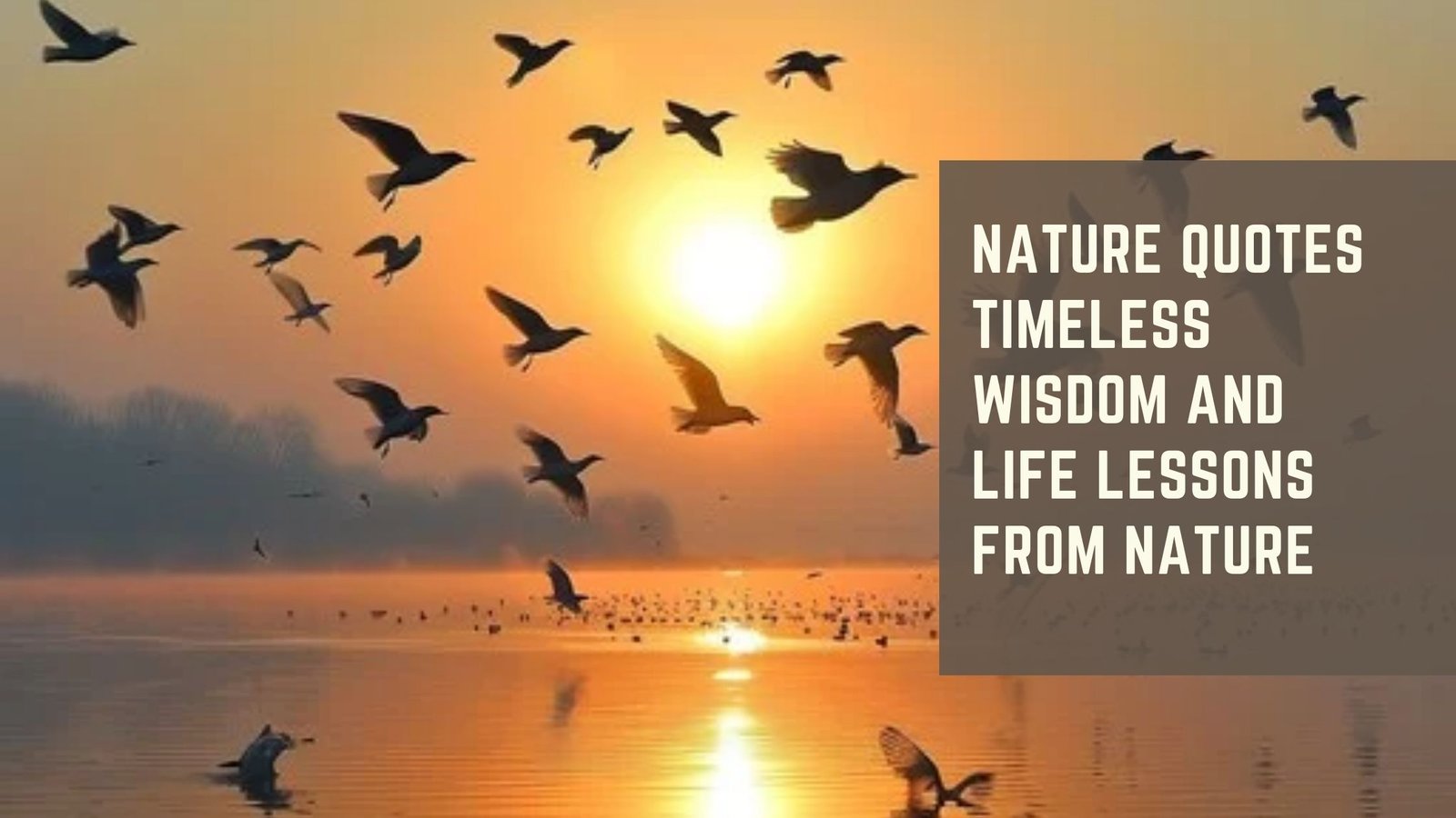 Nature Quotes